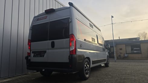 The nardo grey lander  – 2p Carado bus from 2019