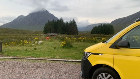 Sunny – Luxury VW Campervan for Hire. Based in Glasgow, Scotland. 