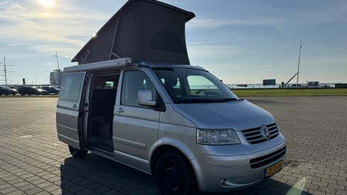 bear hunter – 4p Volkswagen California T5 bus 