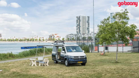 NEW Exclusive VW Bus Camper
