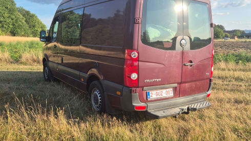 Brutus