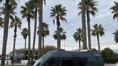 Cocolishi Camper – New bus camper for up to 4 people in Spain