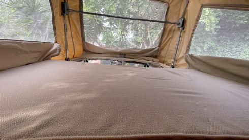 NINA – Volkswagen t3