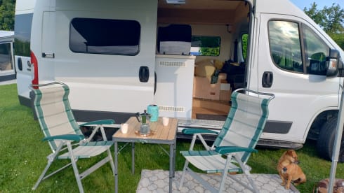 Sorrido – 3p Fiat bus from 2018