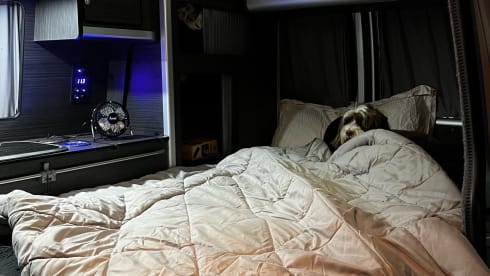 Billy – Our gorgeous twinkling Campervan