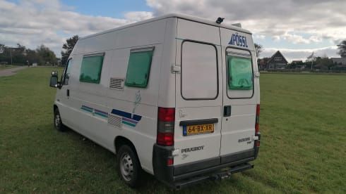 Schone, frisse en lichte camper