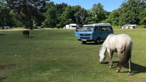 "Mya" - Classic VW T25