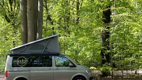 Bulli – 4p Volkswagen T6 California Ocean campervan from 2020