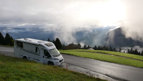 Etrusco – 2p Laika semi-integrated uit 2021