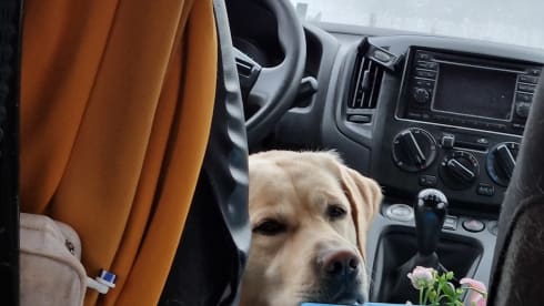 2-seater Nissan campervan from 2017