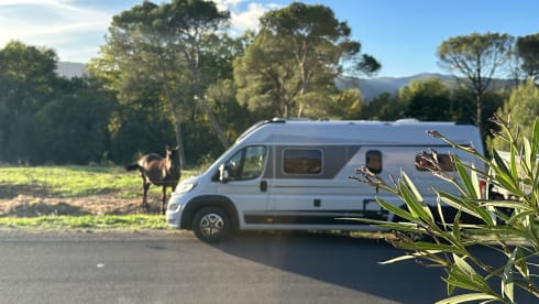 Van Elios Sky-Line Fiat Ducato 2022 komplett ausgestattet