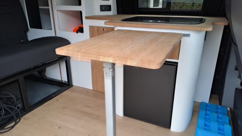 Bertus – 4p Volkswagen campervan from 2018