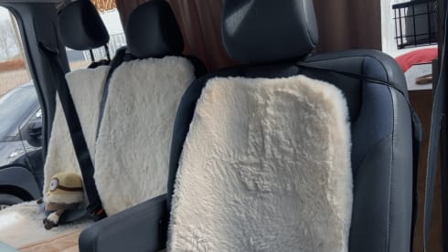 3p Renault bus from 2012