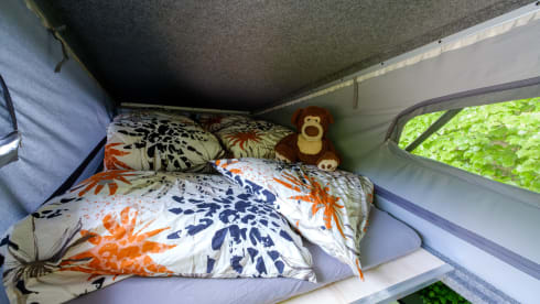 Evie – EV Camper ⚡️ 100% electric