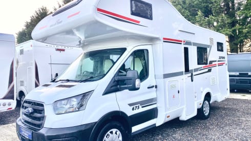 6 Birth Rollerteam 675 