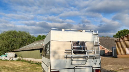Witte Beer. – 4p Hymer integrated uit 1990