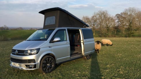 4 berth VW transporter campervan from 2016