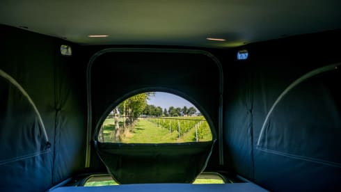 VW California 6.1 Ocean (2022) - 4 Persons - Automatic + Bicycle rack