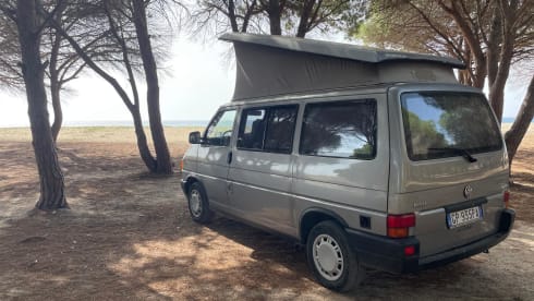 Volkswagen  California