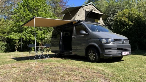 3p Volkswagen rooftop uit 2018