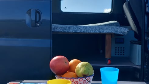 VANTASTIK RENTAL CAMPERVAN – VANTASTIK RENTAL CAMPERVAN