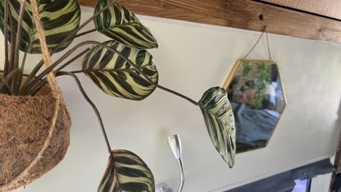 Bakbeest Bertje – 2p camper Bertje is looking for fun