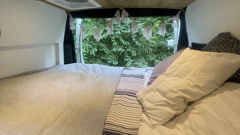 Rita – Rita the Boxer