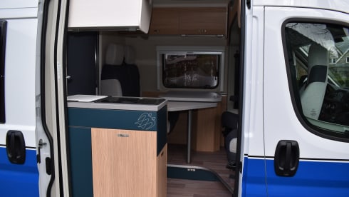 Knaus boxlife bus camper from 2018