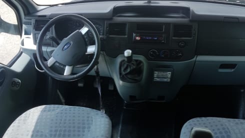 Nasenbär – old lady