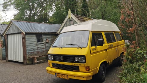 Sunny – 2p Volkswagen campervan from 1981