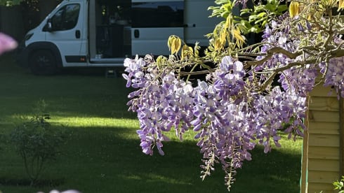 Evangeline – 4 berth Peugeot campervan from 2017