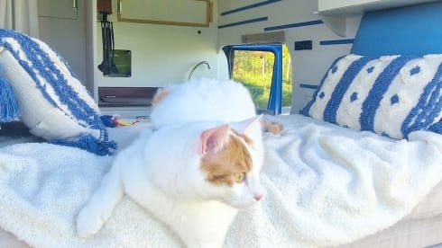 Bluetti – Bluetti è il tuo viaggio sempre più blu💙