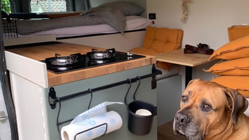 Super atmospheric & adventurous off-grid road trip camper!