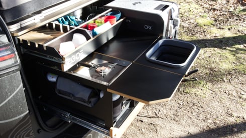 Buzzer – Roadtripper ID Buzz