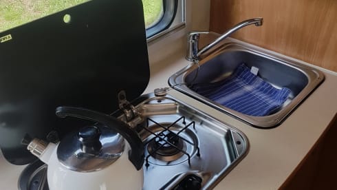 Nasenbär – old lady