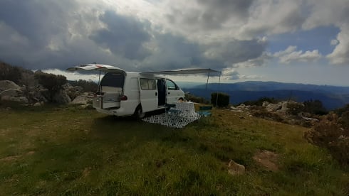 VANTASTIK RENTAL CAMPERVAN – VANTASTIK RENTAL CAMPERVAN