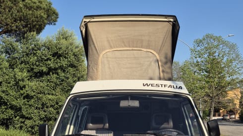 DANDY β VW T3 MITO SENZA TEMPO