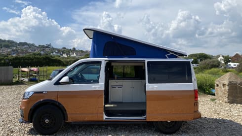 VW T6.1 Family Campervan near Somerset, Devon & Dorset Borders