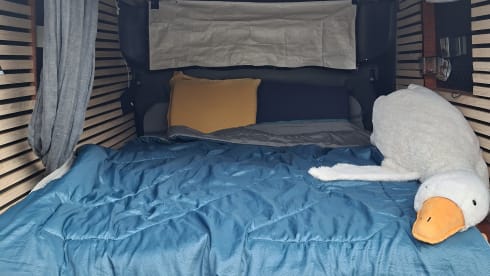 Snelle Jelle – 2016 4-person Fiat campervan