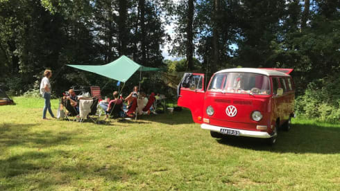 Rode Roos – Unique experience with Red Rose!