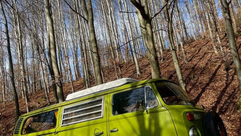 The Hulk – Westfalia – Beautiful Classic Camper For Rent! 