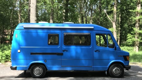 Lynz – Cheerful camper van Westfalia