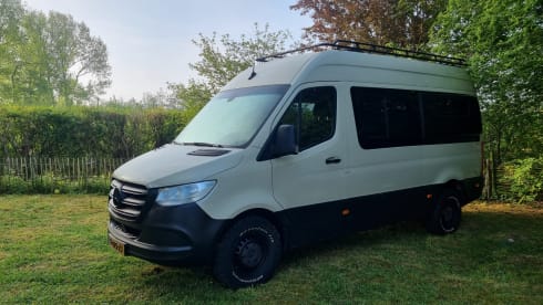 Sol – 2p Mercedes-Benz bus from 2019
