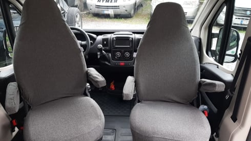 Petunia – The freedom to live in all the wonderful places.