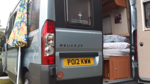 Bert the Boxer has been sold  – Bert the Boxer..... NON disponibile dal 23/8/21