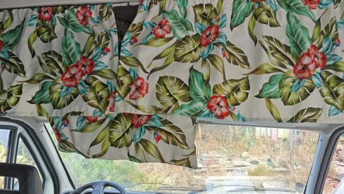 Micol – Sicilia in libertà