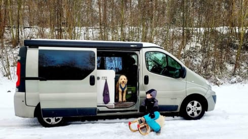 Roza – 4p Renault Camperbus from 2011 - suitable for almost any adventure!