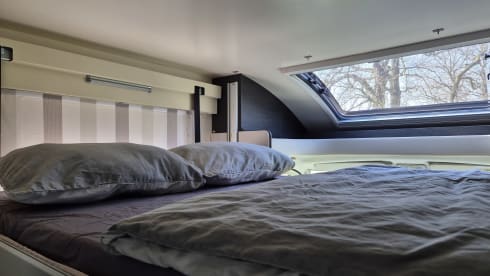 Modern Roller Team 298 TL – Space, comfort and adventure for 4 people!