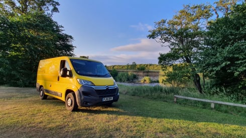 Big Yellow – Citroen Relay 2016