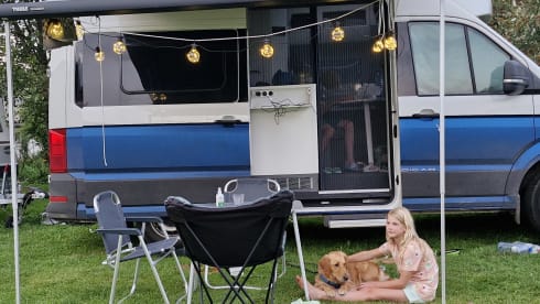 Blue Horizon – 4-Sitzer Volkswagen-Bus ab 2023